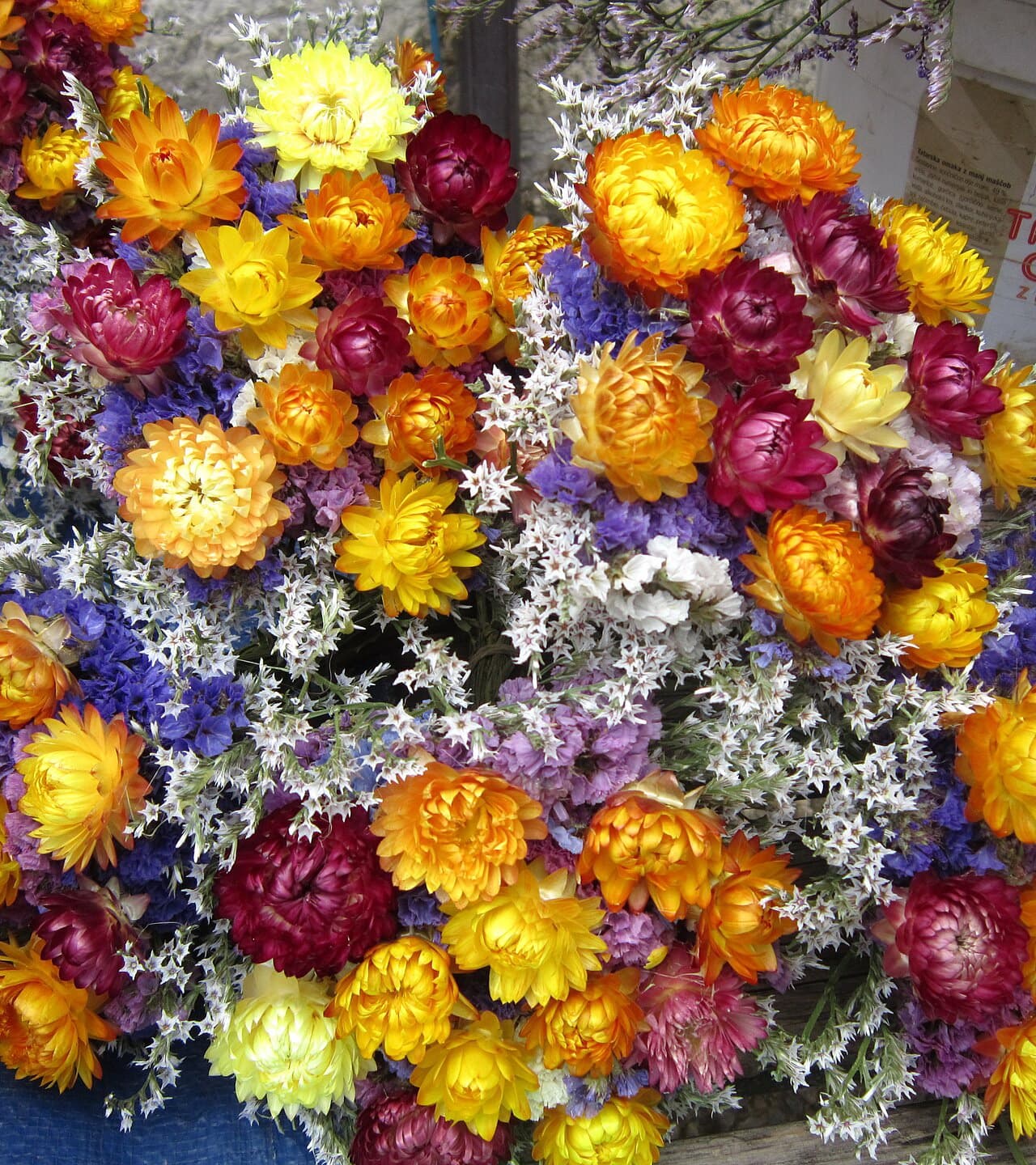 Everlasting Dried Bunch