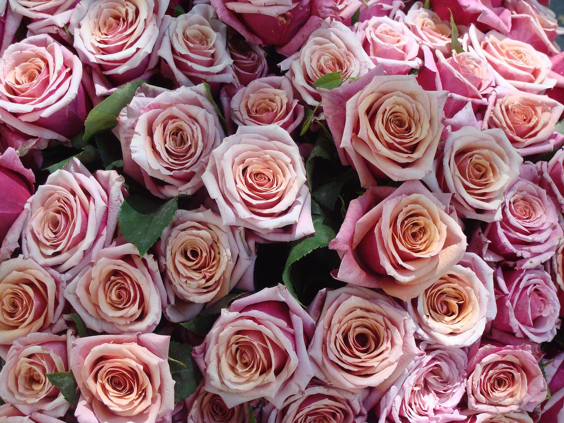 Rose Garden Bouquet